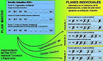 Esquema de implementacin de planes individuales de manejo ambiental